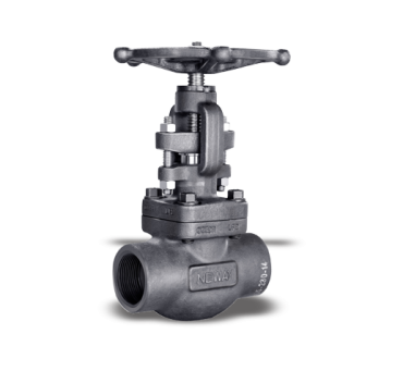 API 602 Forged Steel Valve