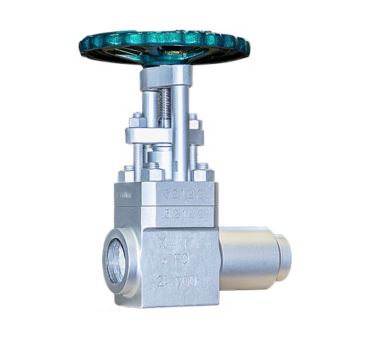 Extended Body Valves