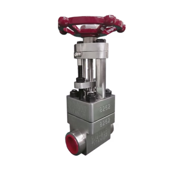 Forged Bar Design Gate Valve Titanium