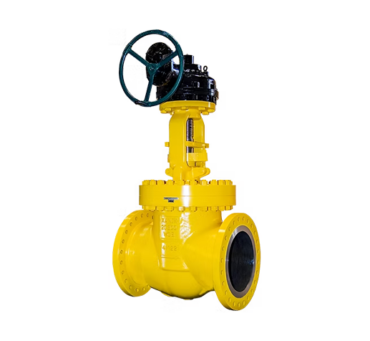 Globe Valve for HF Acid Service